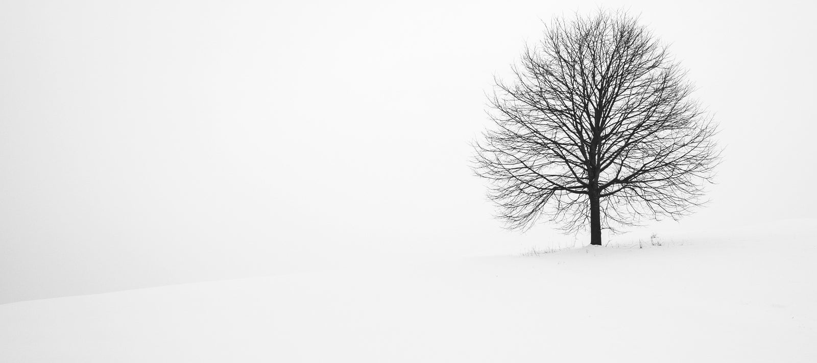 7 Retail Display Ideas for Winter.