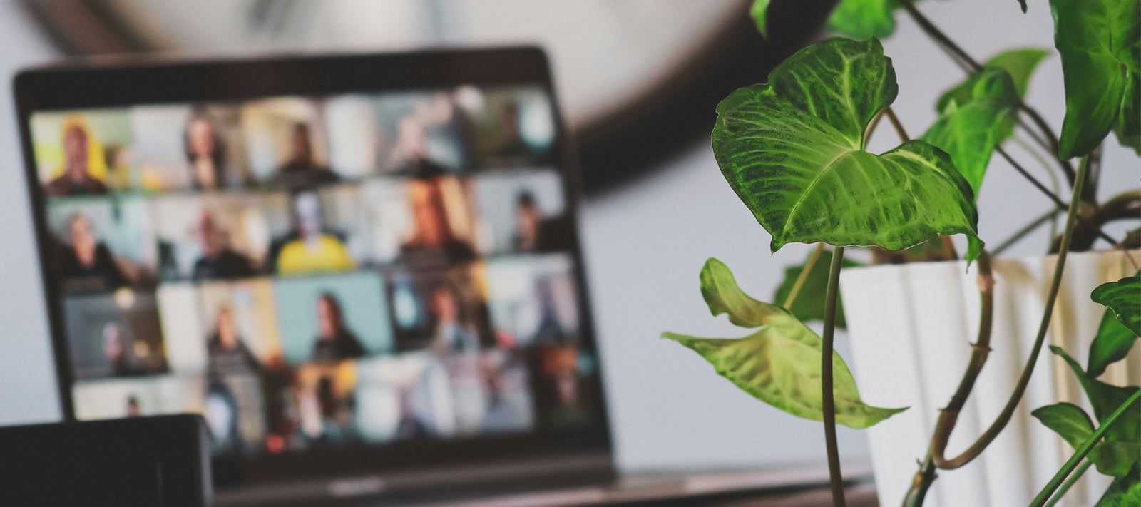 Retail Point of Sale Displays That Show User-Generated Content: A 2024 Perspective