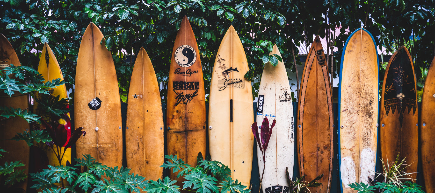 Riding the Wave: A Retailer Spotlight on Point of Sale Displays in the Surf Industry